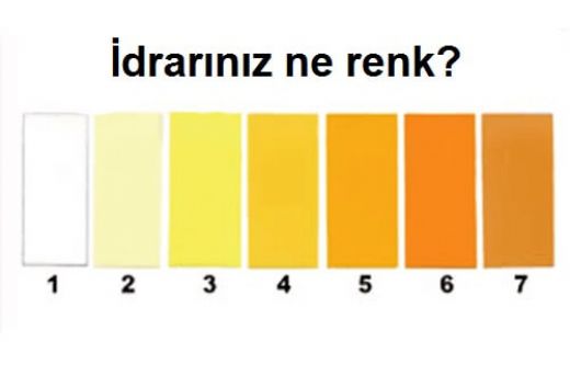 İdrar Rengi