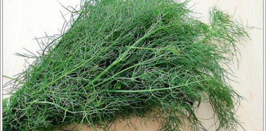 İdrar Söktürücü İlaçlar Kullanımı ve Faydaları Nelerdir?