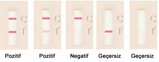 İdrar Testi Negatif